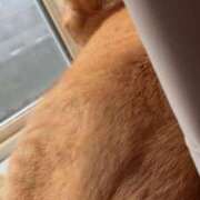 ヒメ日記 2025/05/26 11:45 投稿 川村　あんな しこたま奥様 札幌店