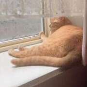 ヒメ日記 2025/05/28 12:05 投稿 川村　あんな しこたま奥様 札幌店