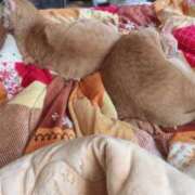 ヒメ日記 2025/05/31 13:55 投稿 川村　あんな しこたま奥様 札幌店