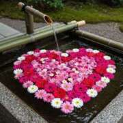 ヒメ日記 2025/06/01 16:05 投稿 川村　あんな しこたま奥様 札幌店