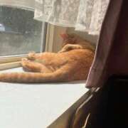 ヒメ日記 2025/06/02 17:45 投稿 川村　あんな しこたま奥様 札幌店