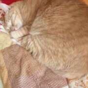 ヒメ日記 2025/06/10 19:45 投稿 川村　あんな しこたま奥様 札幌店