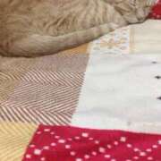 ヒメ日記 2025/06/11 01:05 投稿 川村　あんな しこたま奥様 札幌店