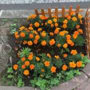 ヒメ日記 2025/07/01 14:55 投稿 川村　あんな しこたま奥様 札幌店