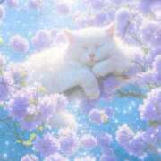 ヒメ日記 2025/07/12 22:45 投稿 川村　あんな しこたま奥様 札幌店