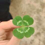 ヒメ日記 2025/07/16 22:45 投稿 川村　あんな しこたま奥様 札幌店