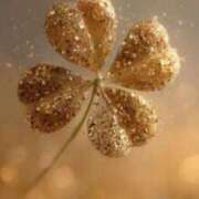 ヒメ日記 2025/07/18 00:15 投稿 川村　あんな しこたま奥様 札幌店