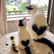 ヒメ日記 2025/07/21 15:55 投稿 川村　あんな しこたま奥様 札幌店