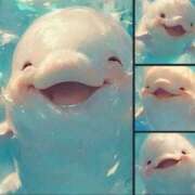 ヒメ日記 2025/07/22 15:35 投稿 川村　あんな しこたま奥様 札幌店