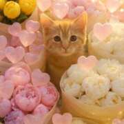 ヒメ日記 2025/07/23 21:55 投稿 川村　あんな しこたま奥様 札幌店