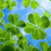 ヒメ日記 2025/07/29 10:55 投稿 川村　あんな しこたま奥様 札幌店