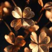 ヒメ日記 2025/08/05 00:25 投稿 川村　あんな しこたま奥様 札幌店