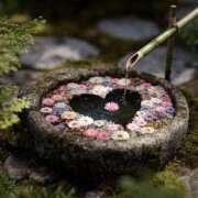 ヒメ日記 2025/08/12 11:45 投稿 川村　あんな しこたま奥様 札幌店