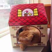 ヒメ日記 2025/08/18 02:05 投稿 川村　あんな しこたま奥様 札幌店