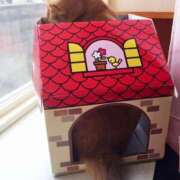 ヒメ日記 2025/08/18 08:58 投稿 川村　あんな しこたま奥様 札幌店