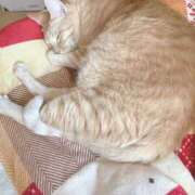 ヒメ日記 2025/08/23 17:45 投稿 川村　あんな しこたま奥様 札幌店