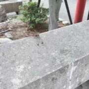 ヒメ日記 2025/08/24 00:15 投稿 川村　あんな しこたま奥様 札幌店