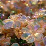 ヒメ日記 2025/08/25 09:05 投稿 川村　あんな しこたま奥様 札幌店