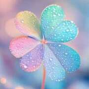 ヒメ日記 2025/09/14 19:55 投稿 川村　あんな しこたま奥様 札幌店