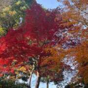 ヒメ日記 2024/12/20 11:43 投稿 クララ 熟女デリヘル倶楽部