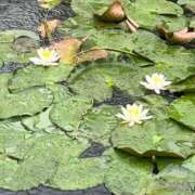 ヒメ日記 2025/05/02 15:02 投稿 クララ 熟女デリヘル倶楽部