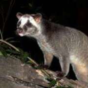 ヒメ日記 2025/07/21 20:13 投稿 クララ 熟女デリヘル倶楽部