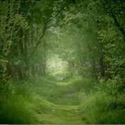 ヒメ日記 2025/08/04 15:02 投稿 クララ 熟女デリヘル倶楽部