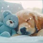 ヒメ日記 2025/09/12 00:25 投稿 クララ 熟女デリヘル倶楽部