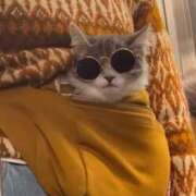 ヒメ日記 2025/12/09 20:25 投稿 クララ 熟女デリヘル倶楽部