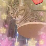 ヒメ日記 2025/02/03 17:19 投稿 さくら☆可愛いぱいぱん若奥様お潮 PREMIUM萌え可愛いチョコレート～全てのステージで感動の体験を～