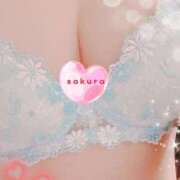 ヒメ日記 2025/02/14 15:10 投稿 さくら☆可愛いぱいぱん若奥様お潮 PREMIUM萌え可愛いチョコレート～全てのステージで感動の体験を～