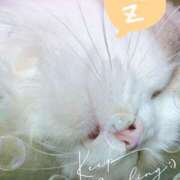 ヒメ日記 2025/05/25 11:34 投稿 さくら☆可愛いぱいぱん若奥様お潮 PREMIUM萌え可愛いチョコレート～全てのステージで感動の体験を～