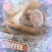 ヒメ日記 2025/06/11 12:06 投稿 さくら☆可愛いぱいぱん若奥様お潮 PREMIUM萌え可愛いチョコレート～全てのステージで感動の体験を～