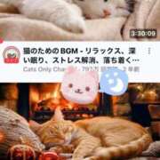 ヒメ日記 2025/06/16 21:30 投稿 さくら☆可愛いぱいぱん若奥様お潮 PREMIUM萌え可愛いチョコレート～全てのステージで感動の体験を～