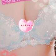 さくら☆可愛いぱいぱん若奥様お潮 明日 PREMIUM萌え可愛いチョコレート～全てのステージで感動の体験を～