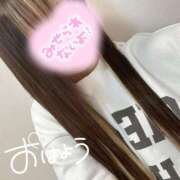 ヒメ日記 2025/03/19 12:05 投稿 むぎ ていくぷらいど.学園