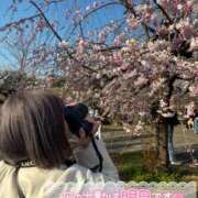 ヒメ日記 2025/04/06 20:18 投稿 むぎ ていくぷらいど.学園