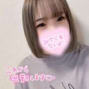 ヒメ日記 2025/04/10 08:19 投稿 むぎ ていくぷらいど.学園