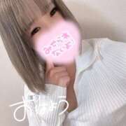 ヒメ日記 2025/04/11 12:53 投稿 むぎ ていくぷらいど.学園