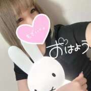 ヒメ日記 2025/04/17 11:02 投稿 むぎ ていくぷらいど.学園