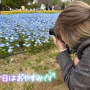 ヒメ日記 2025/04/20 23:34 投稿 むぎ ていくぷらいど.学園