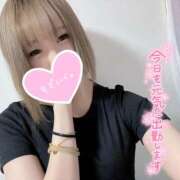 ヒメ日記 2025/04/22 13:16 投稿 むぎ ていくぷらいど.学園