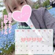 ヒメ日記 2025/04/26 06:00 投稿 むぎ ていくぷらいど.学園