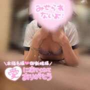 ヒメ日記 2025/04/29 12:04 投稿 むぎ ていくぷらいど.学園