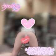 ヒメ日記 2025/05/16 17:31 投稿 むぎ ていくぷらいど.学園