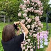 ヒメ日記 2025/05/29 21:51 投稿 むぎ ていくぷらいど.学園