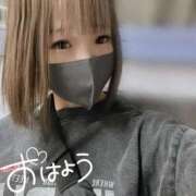 ヒメ日記 2025/05/31 11:18 投稿 むぎ ていくぷらいど.学園