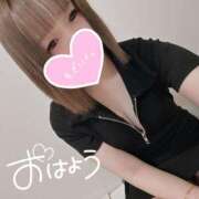 ヒメ日記 2025/06/02 07:10 投稿 むぎ ていくぷらいど.学園