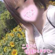 ヒメ日記 2025/07/21 15:14 投稿 むぎ ていくぷらいど.学園