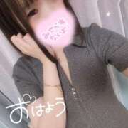 ヒメ日記 2025/07/23 07:30 投稿 むぎ ていくぷらいど.学園